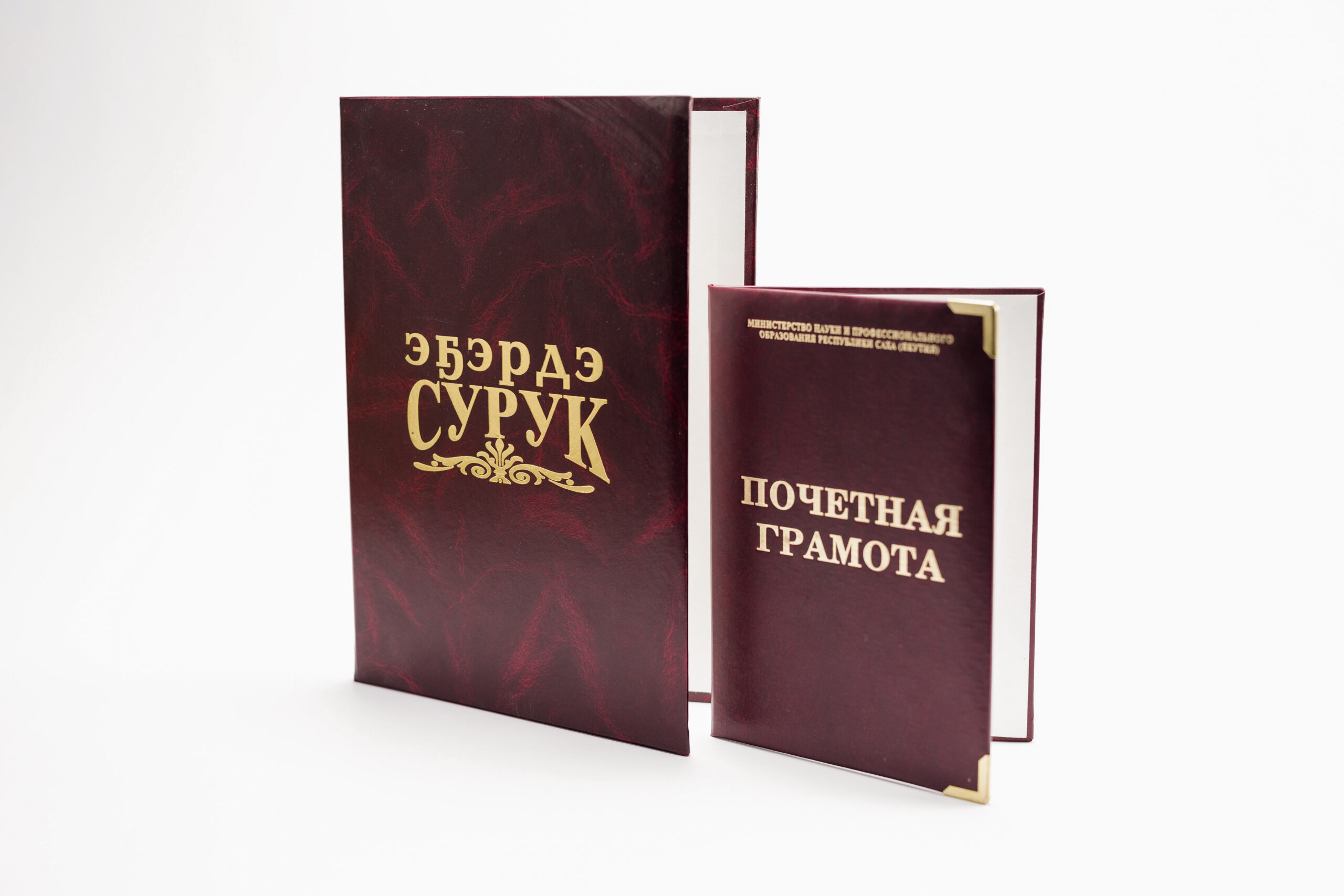 Наградные папки